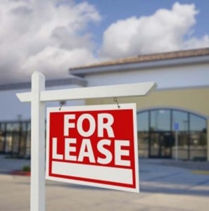 The New Lease Standard