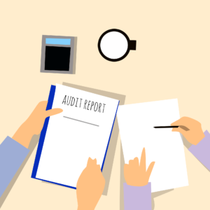 IRS Audit