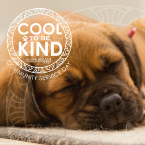 Cool to be Kind